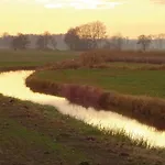 Reetdachhaus Moin-moin
