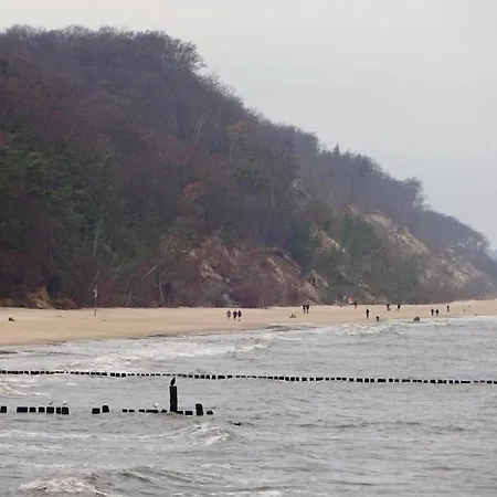 Σπίτι διακοπών Reetdachhaus Moin-moin Garz (Usedom)