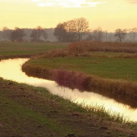Reetdachhaus Moin-moin