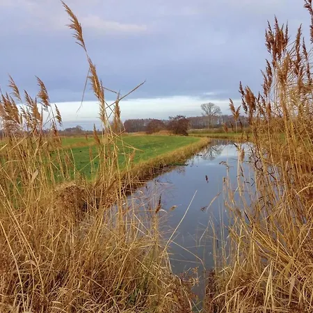 Reetdachhaus Moin-moin *