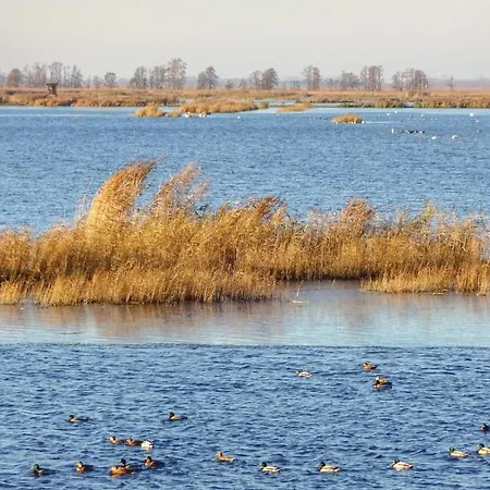 Reetdachhaus Moin-moin Σπίτι διακοπών