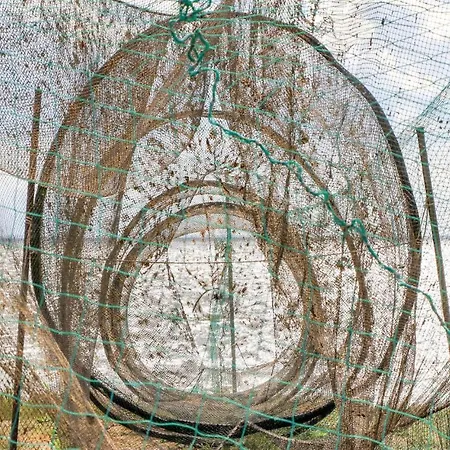 Reetdachhaus Moin-moin *