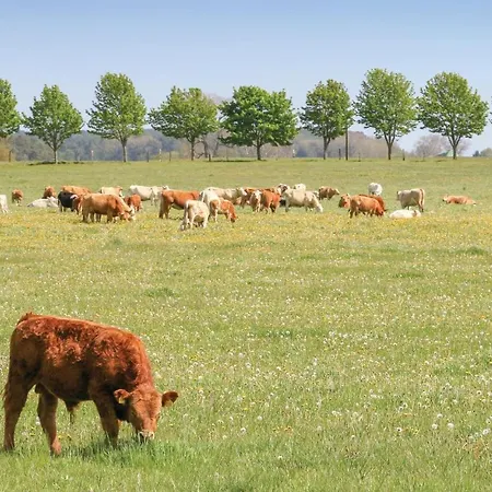 Reetdachhaus Moin-moin Garz (Usedom)