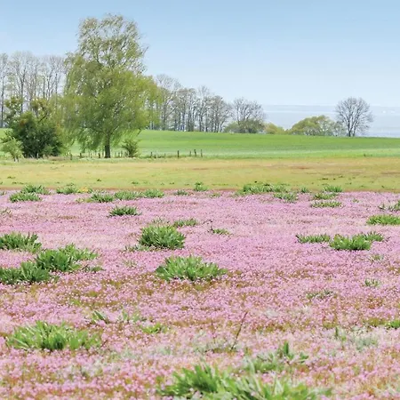 Reetdachhaus Moin-moin Σπίτι διακοπών *