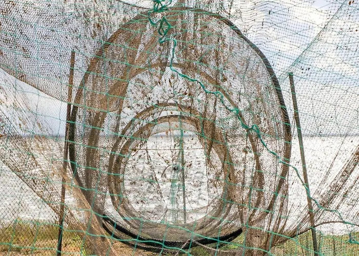 Reetdachhaus Moin-moin *