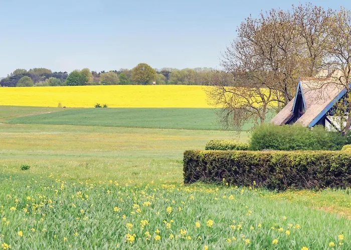 Reetdachhaus Moin-moin *