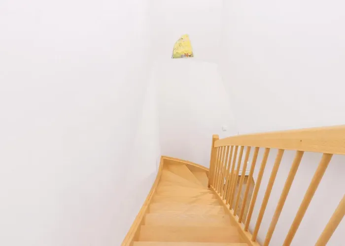 Reetdachhaus Moin-moin Tatil Evi *